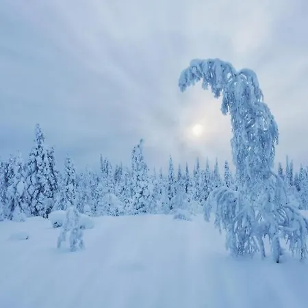 Skyfire Village Igloos Village de vacances *