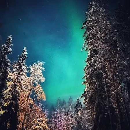 Skyfire Village Igloos Village de vacances *