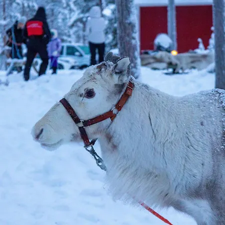 Skyfire Village Igloos * Rovaniemi