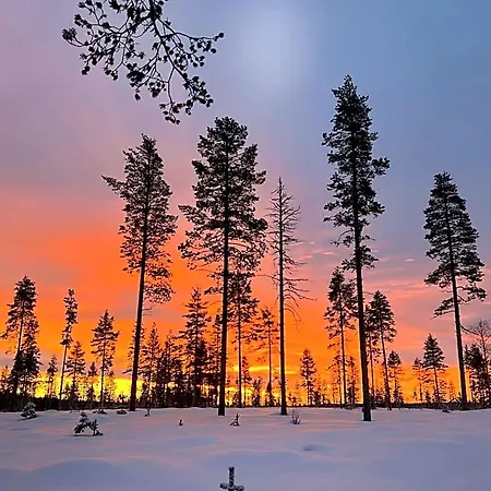 Skyfire Village Igloos Rovaniemi