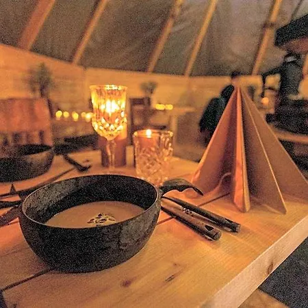 Skyfire Village Igloos Holiday park Rovaniemi
