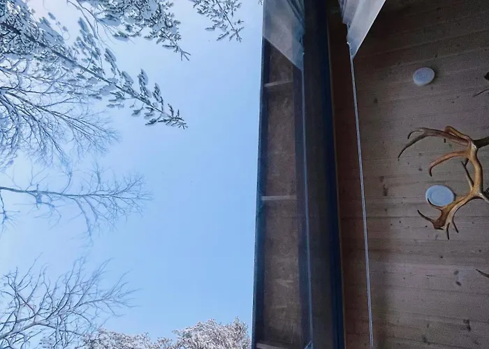 Skyfire Village Igloos Rovaniemi